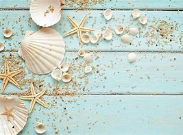 Image result for Sea Shell Gem Wallpaper iPhone