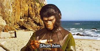 Image result for Christmas Story Lamp Planet of the Apes Meme