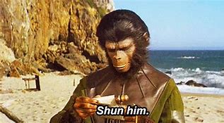 Image result for Caesar Planet of the Apes Meme