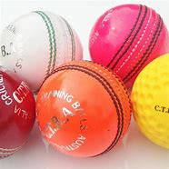 Image result for Cricket Rules Funny