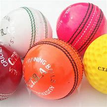 Image result for Salix AJK Cricket Bag