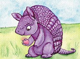 Image result for Armadillo Animal