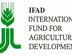 Image result for ifad