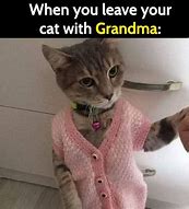 Image result for Crazy Grandma Meme