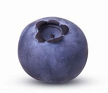 Image result for 1 Blueberry