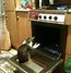 Image result for Funny Cat MEMeS
