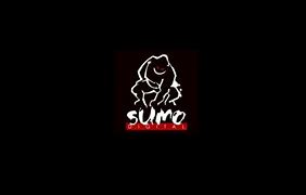 Image result for Sumo Digital Logo