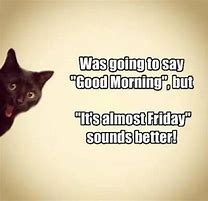 Image result for Funny Thursday Cat Meme