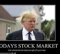 Image result for Markets Closed Memes