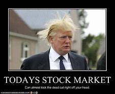 Image result for Fib Stock Meme Sayings