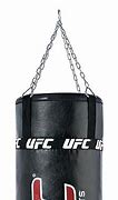 Image result for UFC Punching Bag