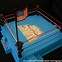 Image result for WWF Wrestling Ring