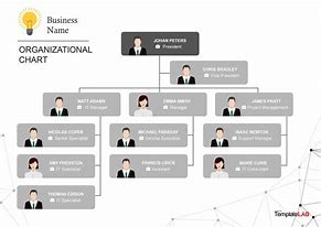 Image result for Organizational Structure Chart