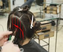 Image result for Slicing Hair Color Technique