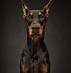 Image result for Chic Dog Portraits