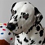 Image result for Ice Cream Cone Dog Toy