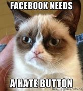 Image result for Who Needs Facebook or Twitter Memes