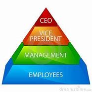 Image result for Corporate Ladder Structure