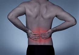 Image result for Lower Back Pain Recovery