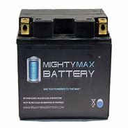 Image result for Costco Car Batteries 12V 230 CCA