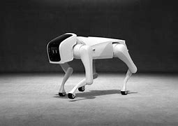 Image result for China Robot Dog