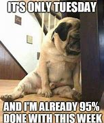 Image result for Tuesday Work Meme Sarcastic