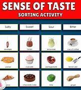 Image result for Sense of Taste Samples