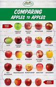 Image result for What Does Comparing Apple's to Apple's Mean