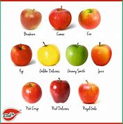 Image result for An Apple vs Many Apples