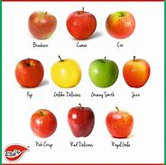 Image result for 20 Apples vs Two Apple
