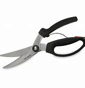 Image result for Poultry Scissors