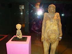 Image result for El Museo De Las Momias
