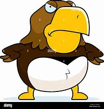Image result for Funny Hawk Pictures