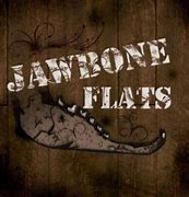 Image result for Jawbone Flats Band