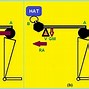 Image result for First Class Lever Mechanical Advantage