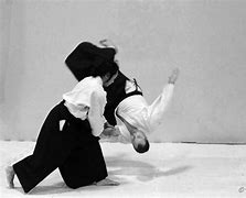 Image result for Aikido Fighting Stance