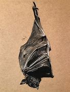 Image result for Charcoal Bat Art