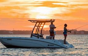 Image result for Yamaha Boats