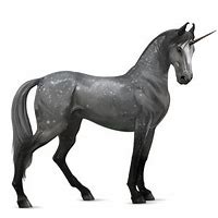 Image result for Funny Unicorn PNG