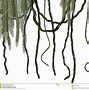 Image result for Earth with Vines