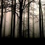 Image result for Deep Dark Forest Wallpaper