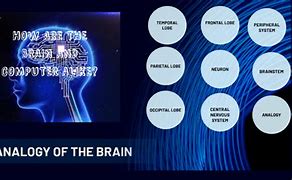Image result for Brain Analogy