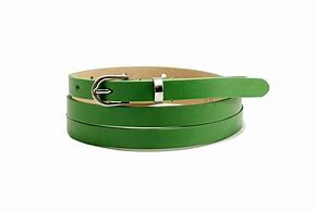 Image result for Belt Images