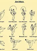 Image result for Types of Karate Kicks