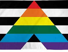 Image result for LGBT Ally Flag Aesthetic
