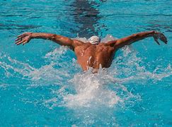 Image result for Butterfly in Swimming