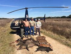 Image result for Helicopter Hog Hunting Texas