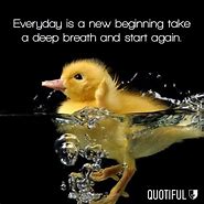 Image result for Really Cute Baby Animal with Quotes