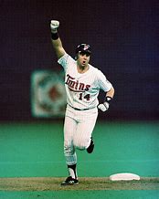 Image result for Kent Hrbek House