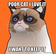 Image result for Grumpy Cat Meme Jesus